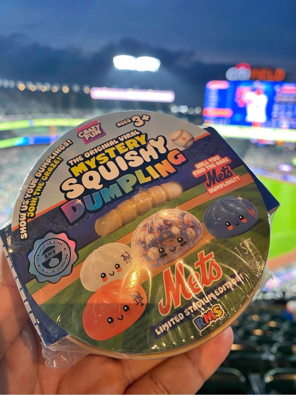 Mets Dumpling